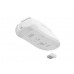 Fury Gaming Mouse Zircon 880 Wireless 12000 dpi Fury Gaming Mouse Zircon 880 Wireless 12000 dpi