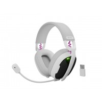 Fury Gaming Headset Fury Gaming Headset