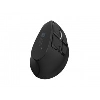 Natec Euphonie Pro Wireless Vertical Mouse BT 5.0 4000DPI