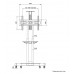 Neomounts Mobile Flat Screen Floor Stand (32-75") Neomounts Mobile Flat Screen Floor Stand (32-75")