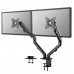 Neomounts Flat Screen Desk Mount (stand/grommet) for 2 screens