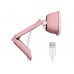 Logitech Brio 100 Full HD Webcam - ROSE - USB - N/A - EMEA28-935 - WEBCAM