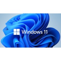 Microsoft Windows 11 Pro GGK 64Bit Eng Intl 1pk DSP ORT OEI DVD Microsoft Windows 11 Pro GGK 64Bit Eng Intl 1pk DSP ORT OEI DVD