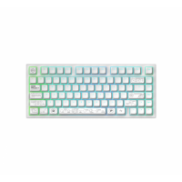Геймърскa безжична клавиатура Dark Project ALU81A Terra Nova White RGB Геймърскa безжична клавиатура Dark Project ALU81A Terra Nova White RGB